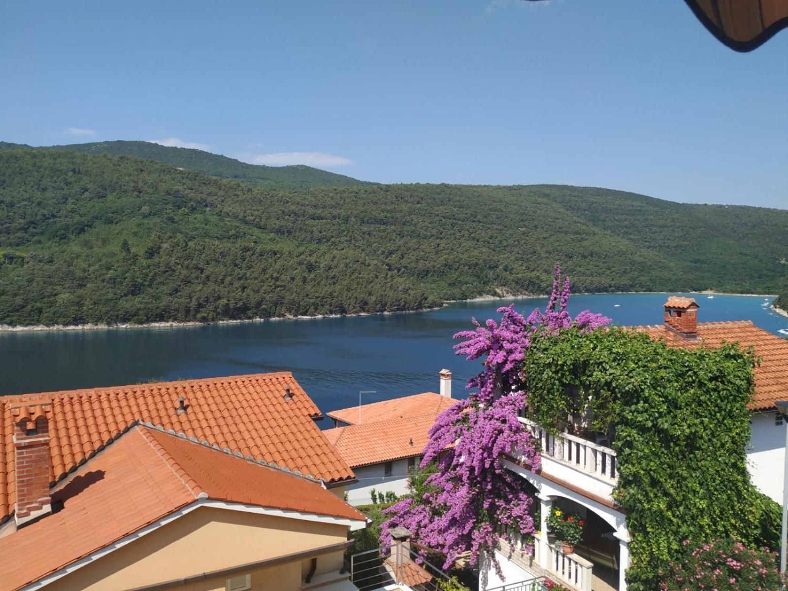 Villa Luma Apartments Labin  Exterior foto