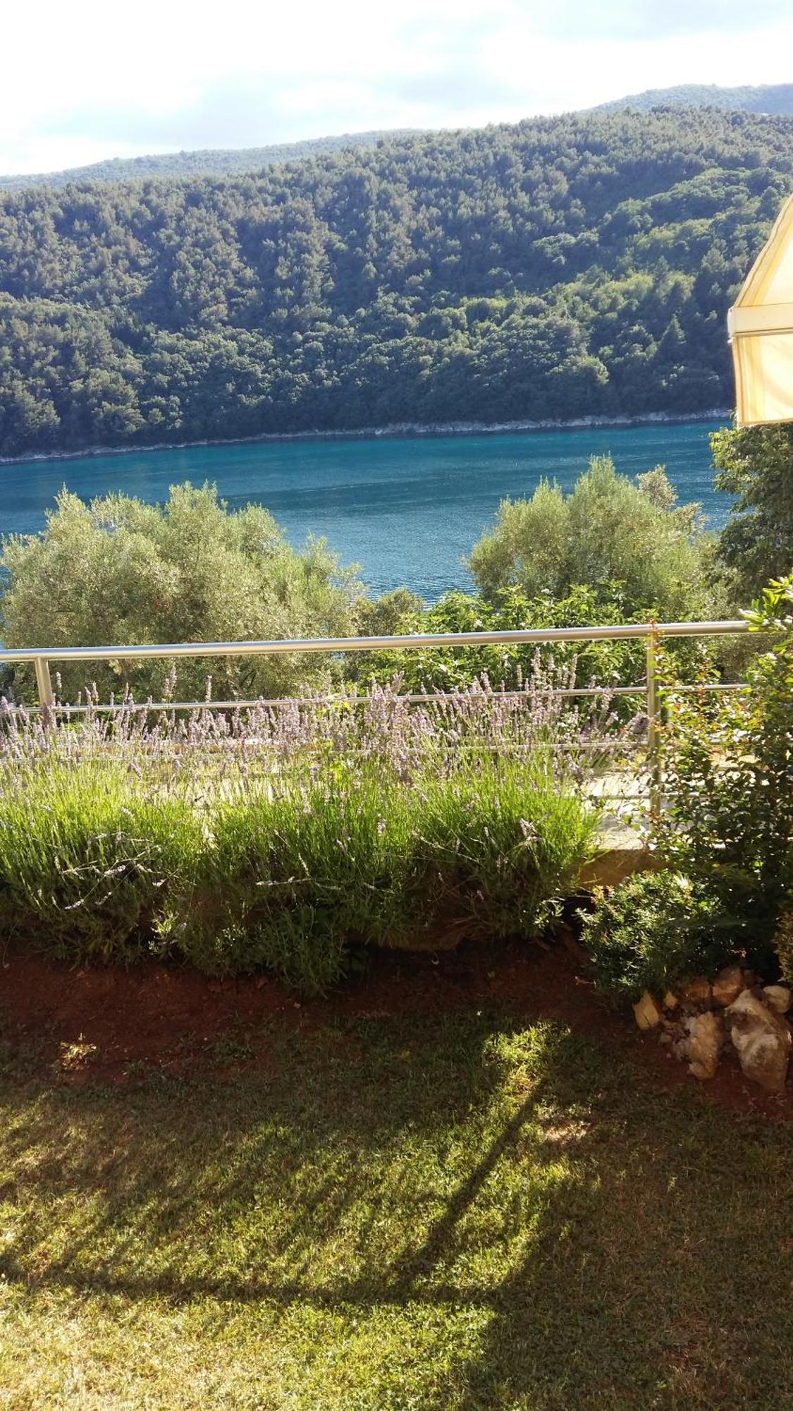 Villa Luma Apartments Labin  Exterior foto