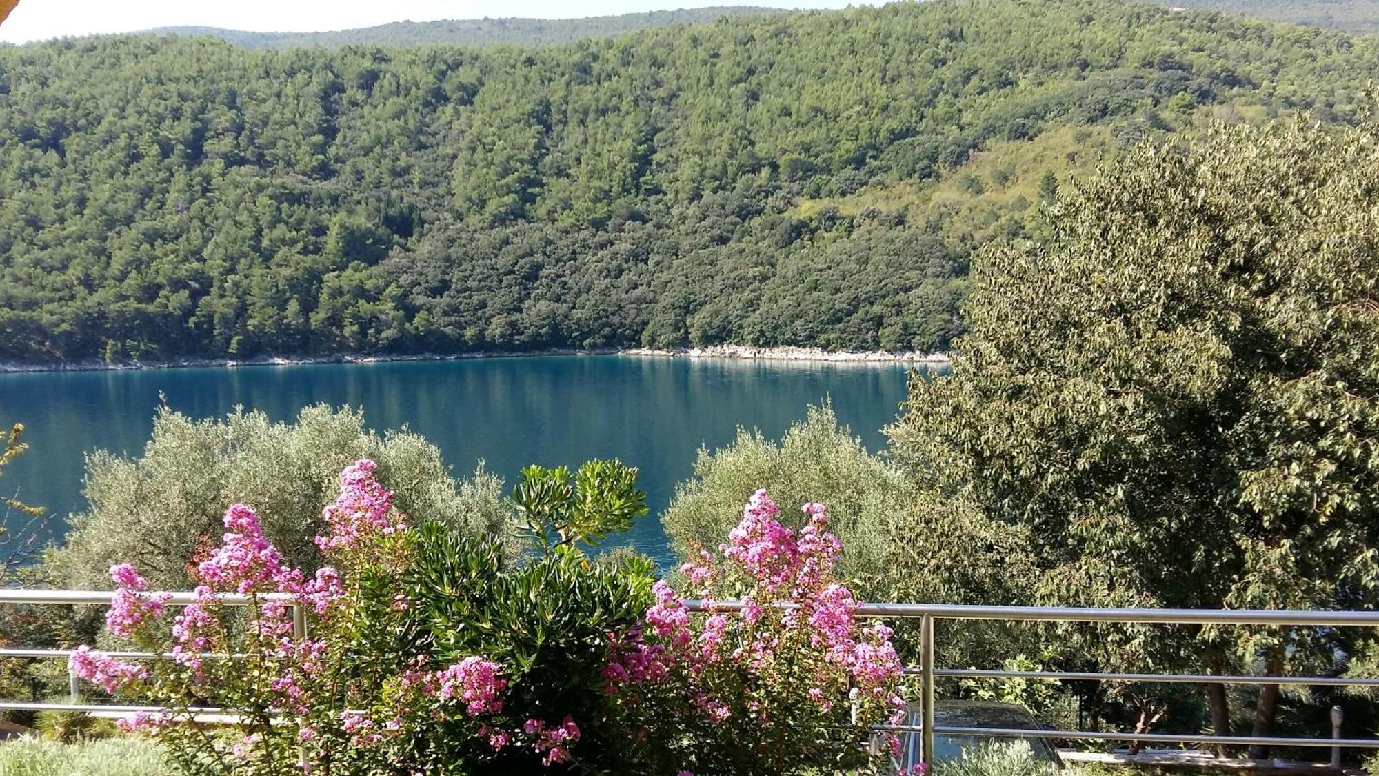 Villa Luma Apartments Labin  Exterior foto